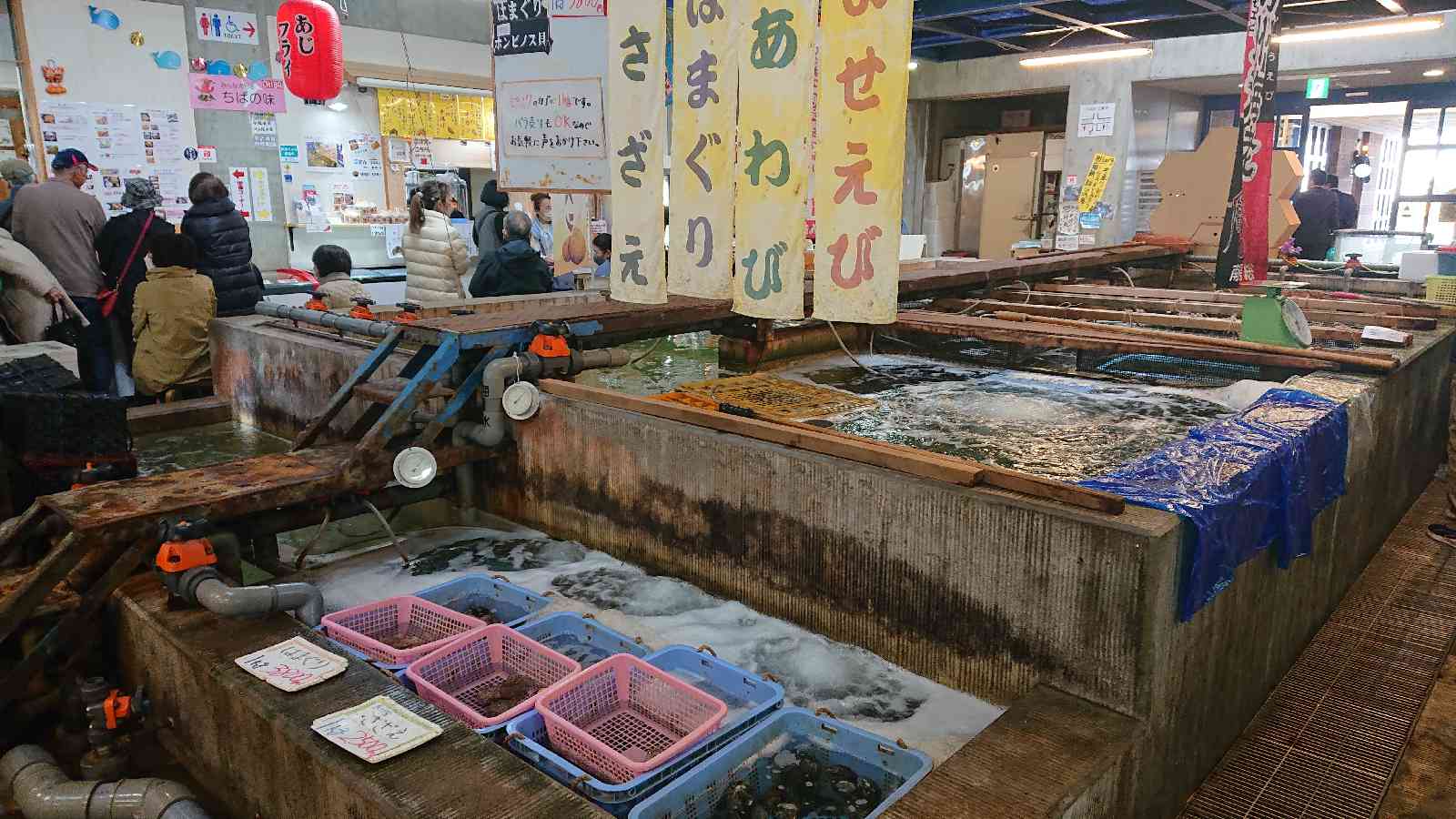 道の駅 ちくら・潮風王国の写真