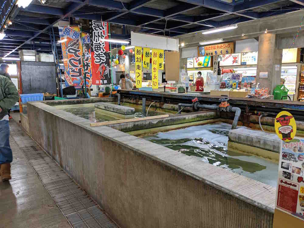 投稿された画像