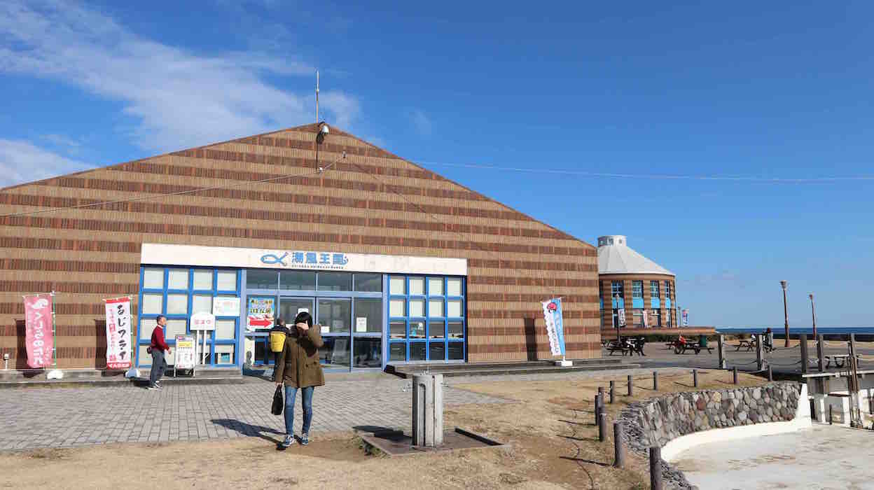 投稿された画像