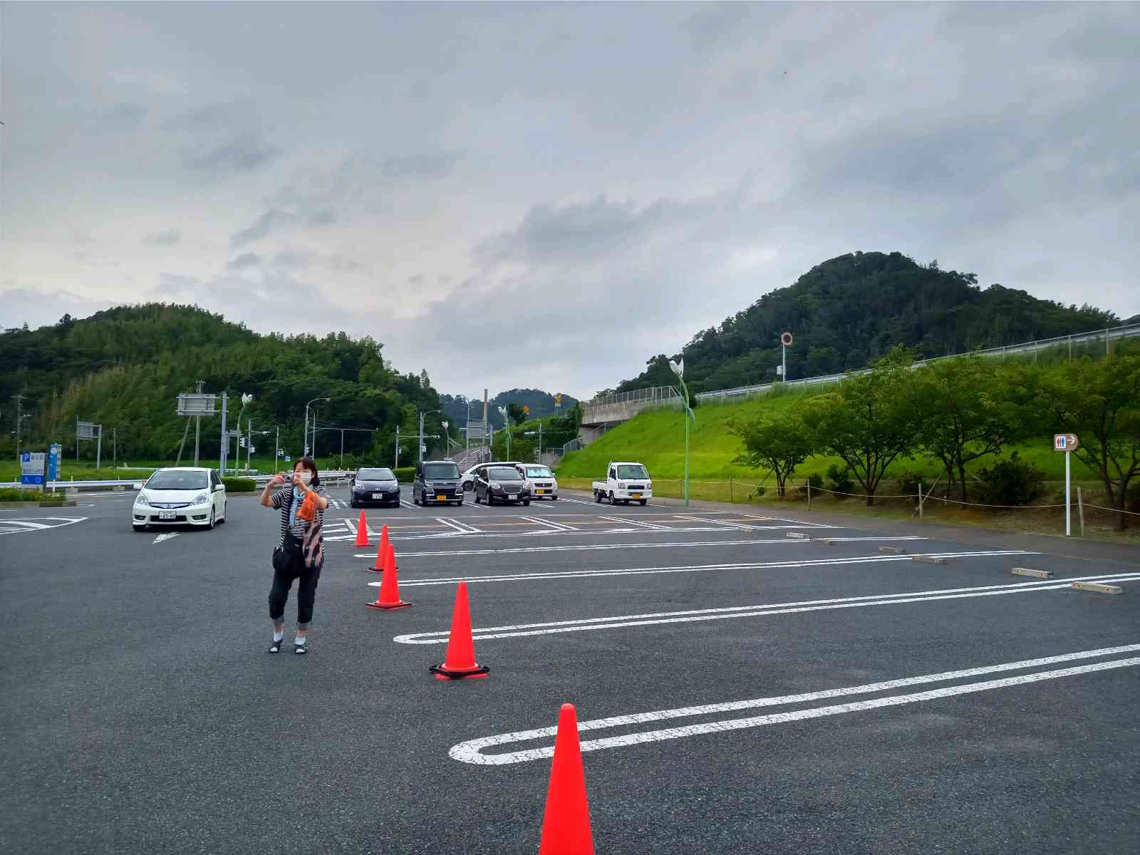 投稿された画像