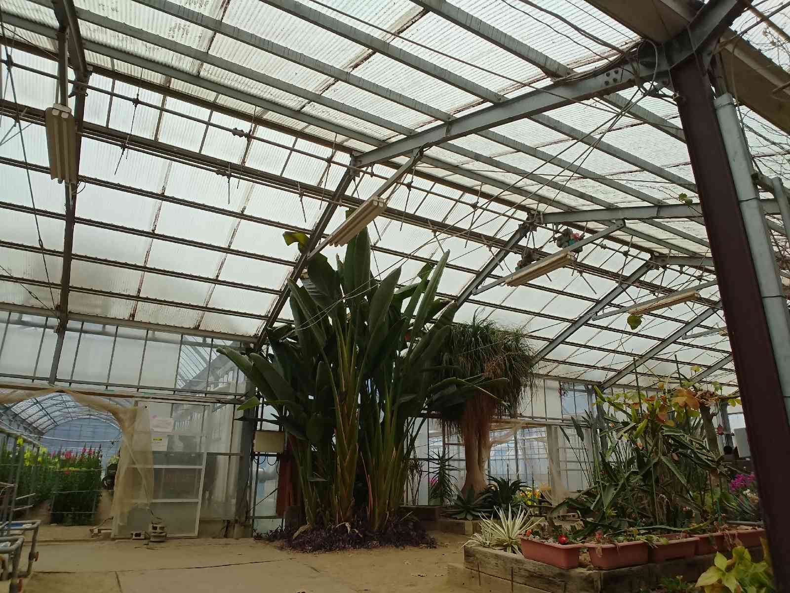 投稿された画像