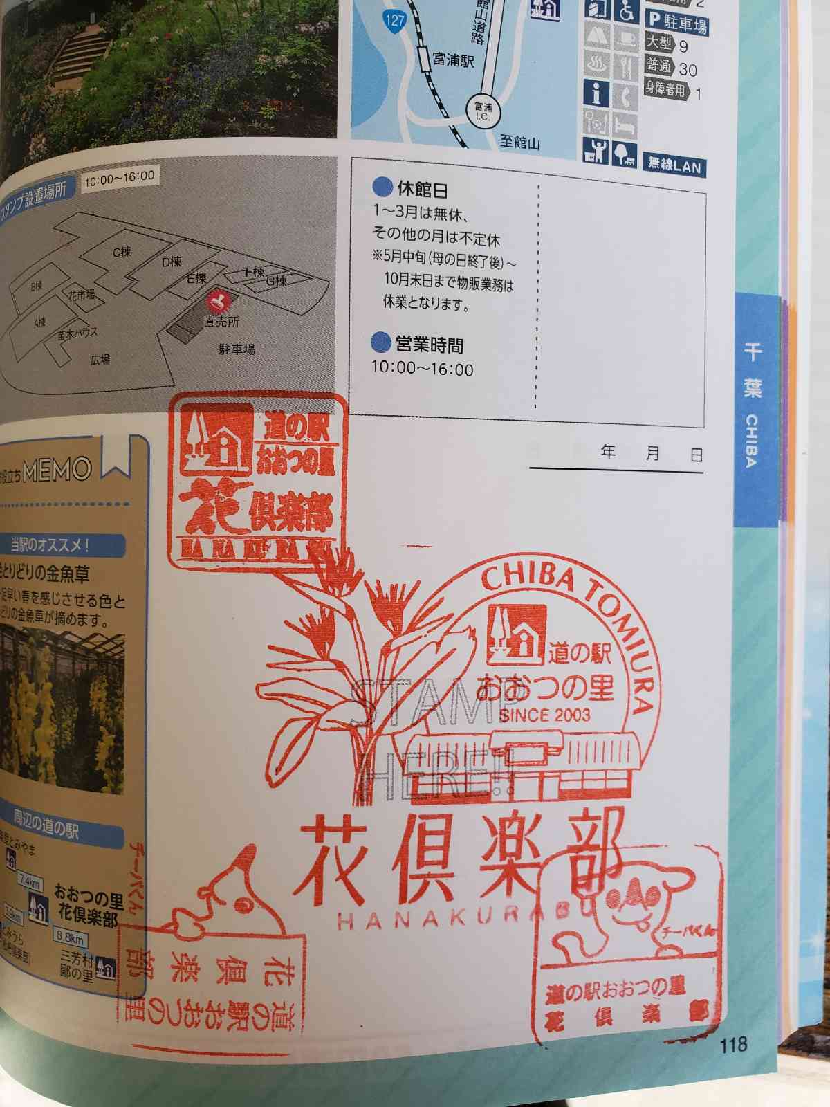 投稿された画像