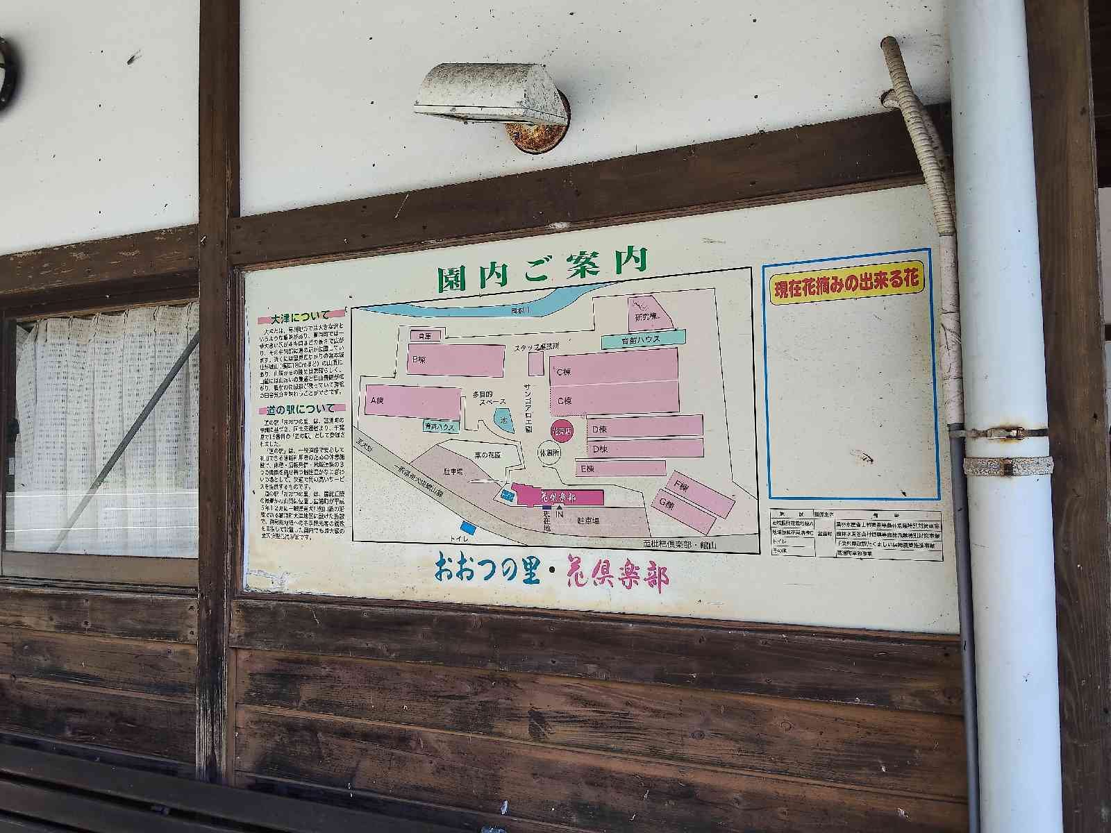 道の駅 おおつの里の写真