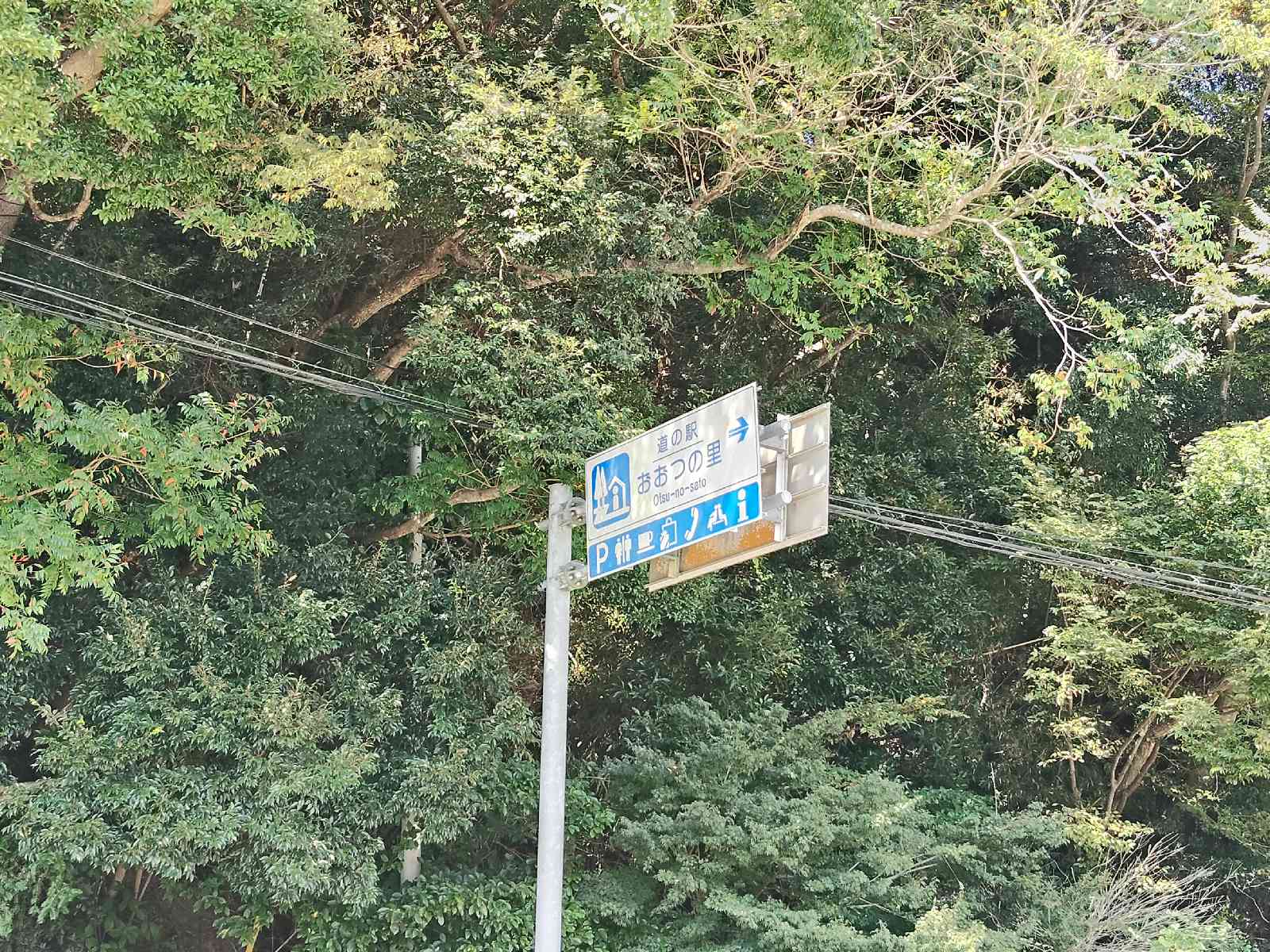 道の駅 おおつの里の写真