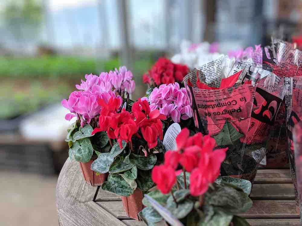 投稿された画像