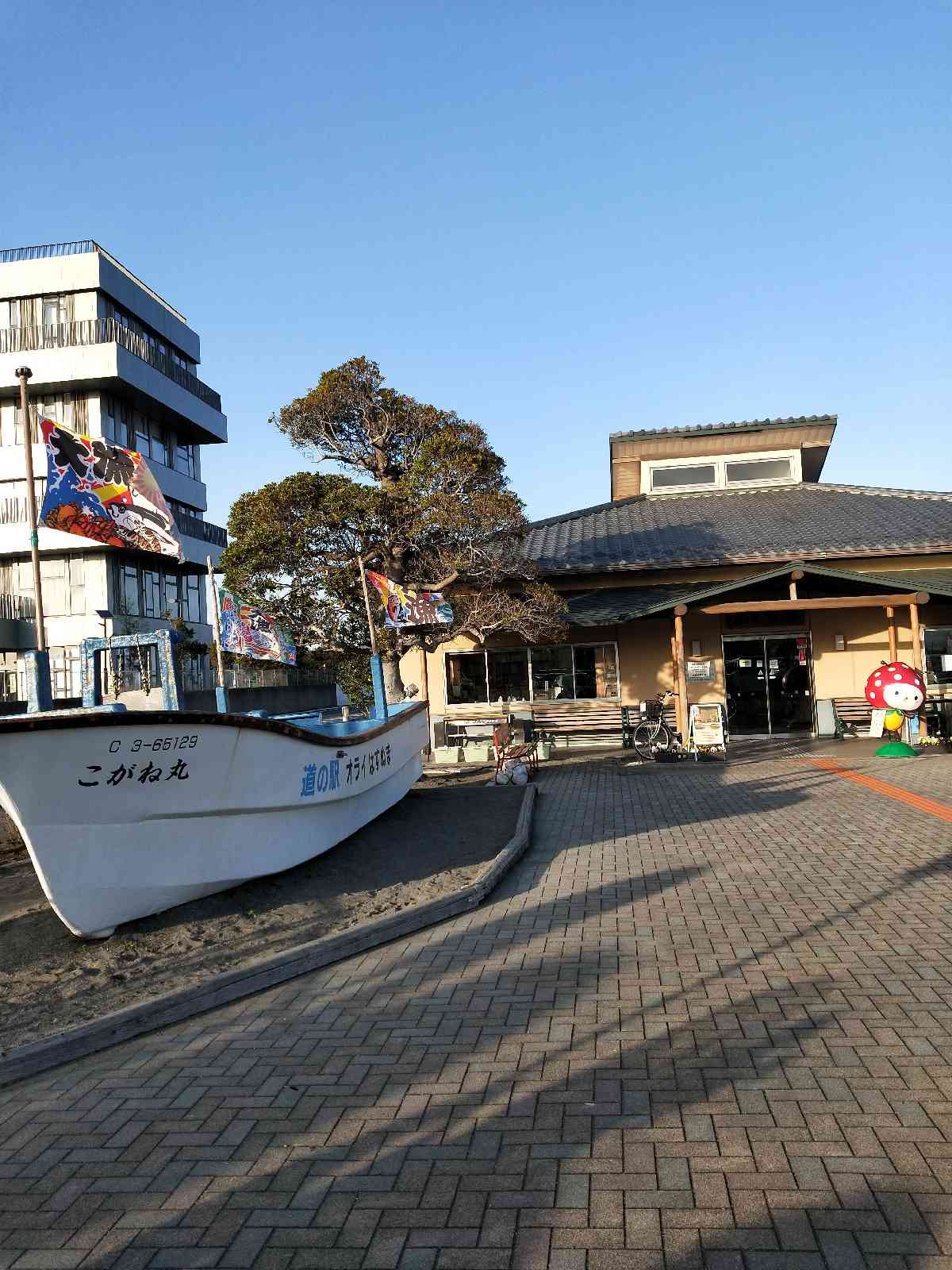 投稿された画像