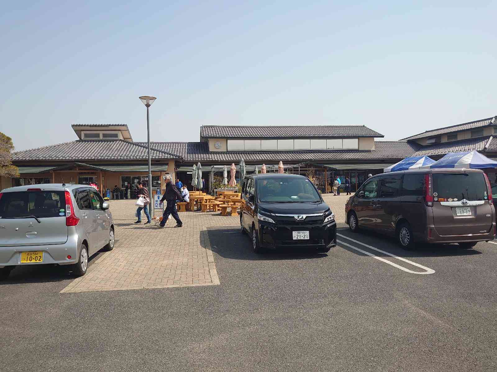 投稿された画像