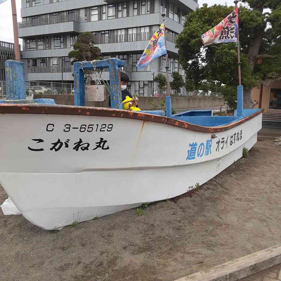 投稿された画像