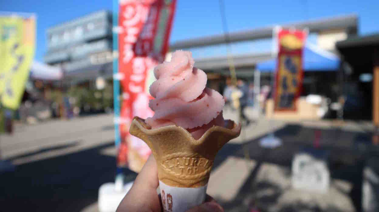 投稿された画像