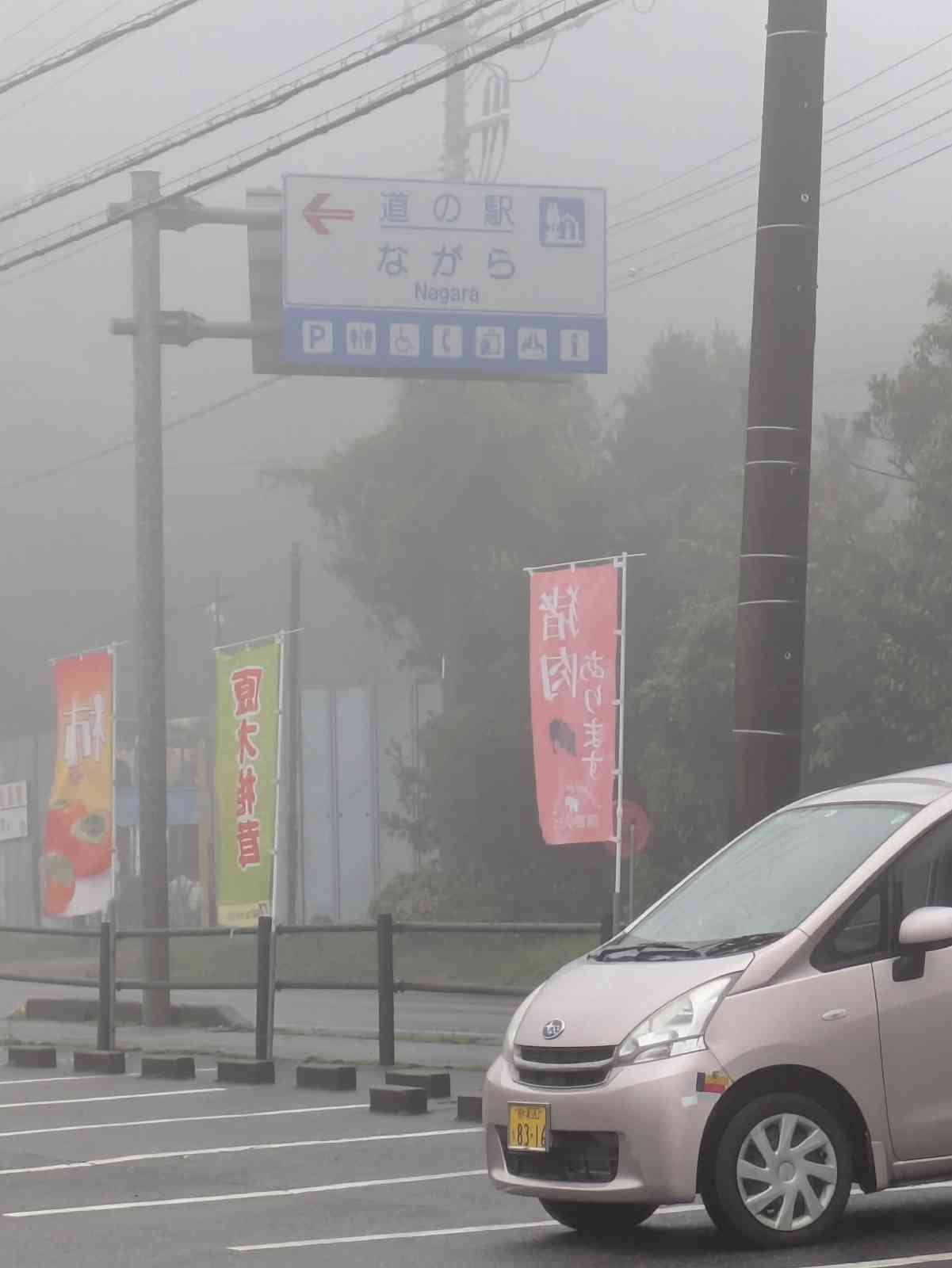 道の駅 ながらの写真