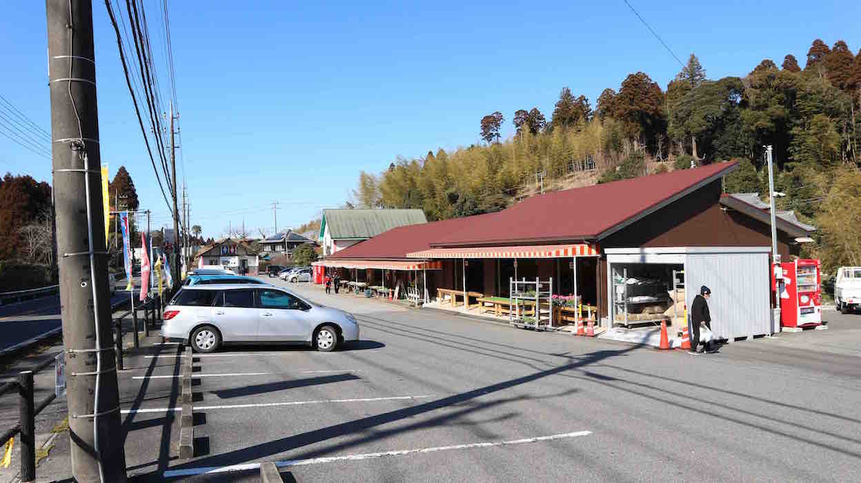 投稿された画像