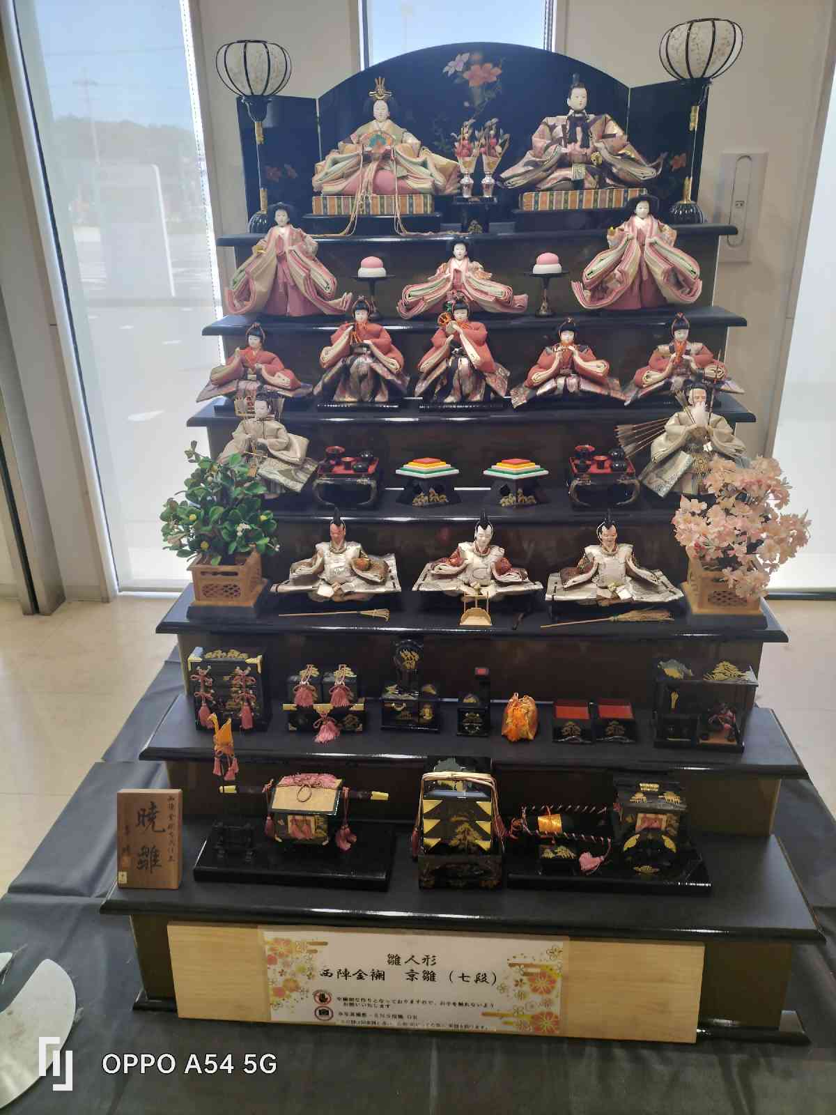 道の駅 むつざわスマートウェルネスタウン・道の駅・つどいの郷の写真