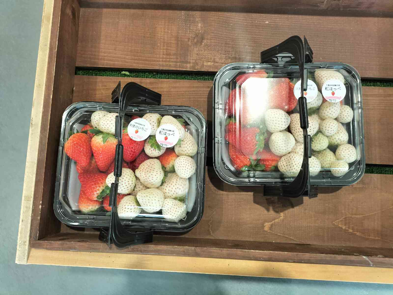 投稿された画像