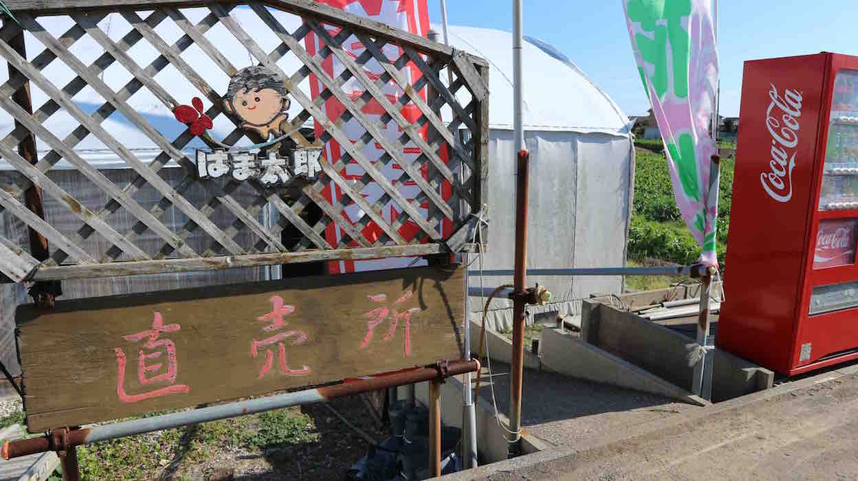 投稿された画像
