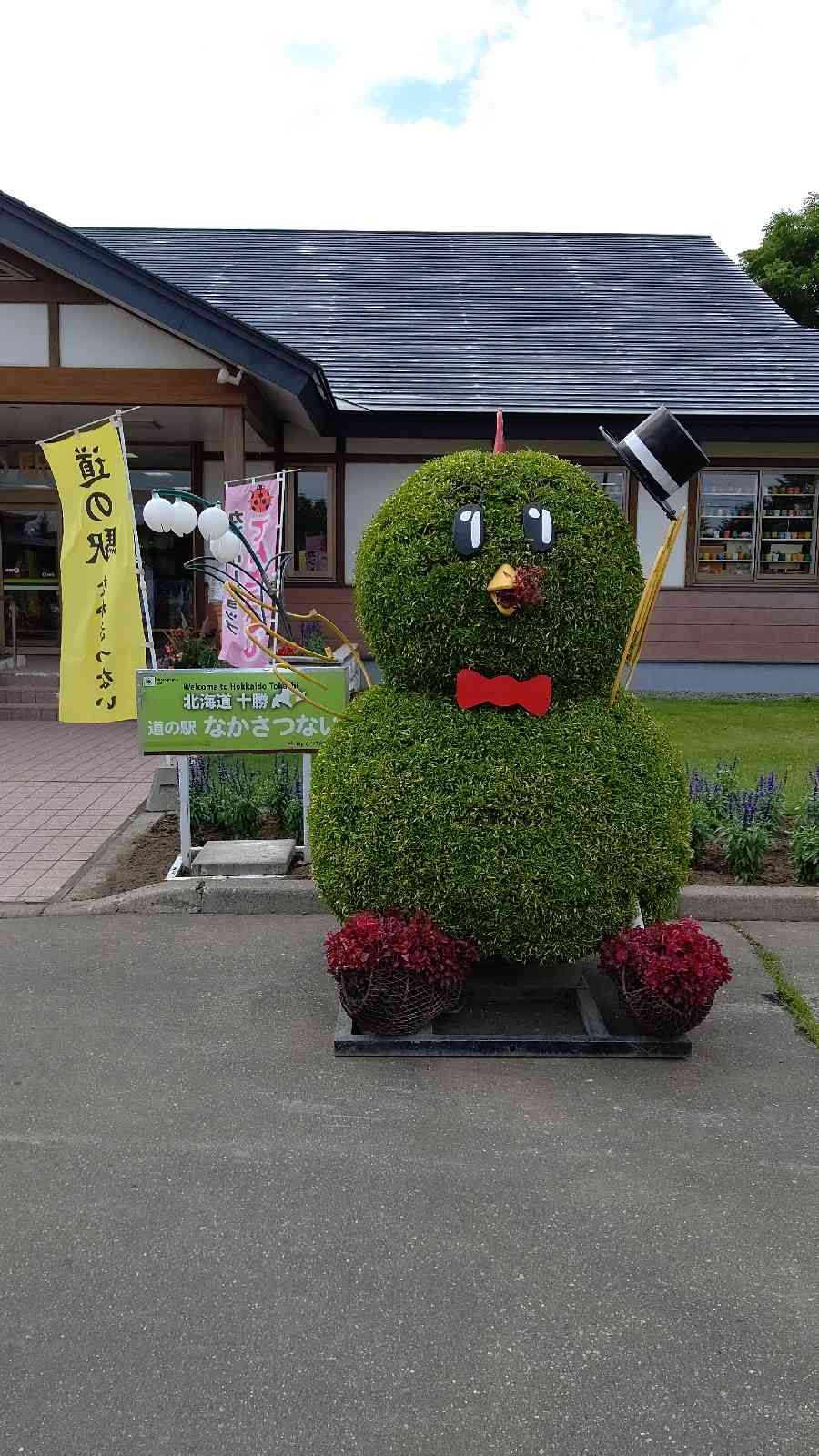 投稿された画像