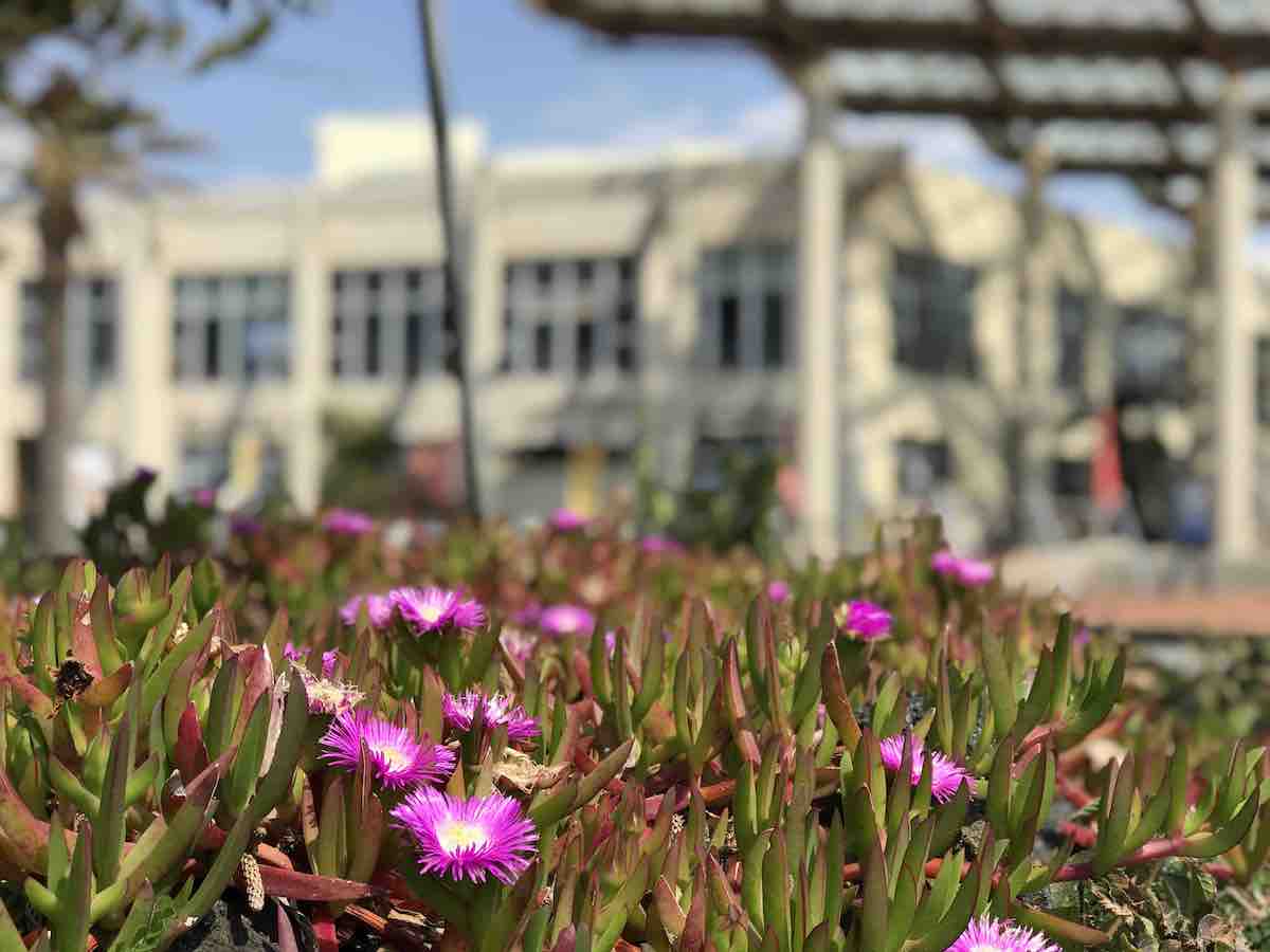 投稿された画像