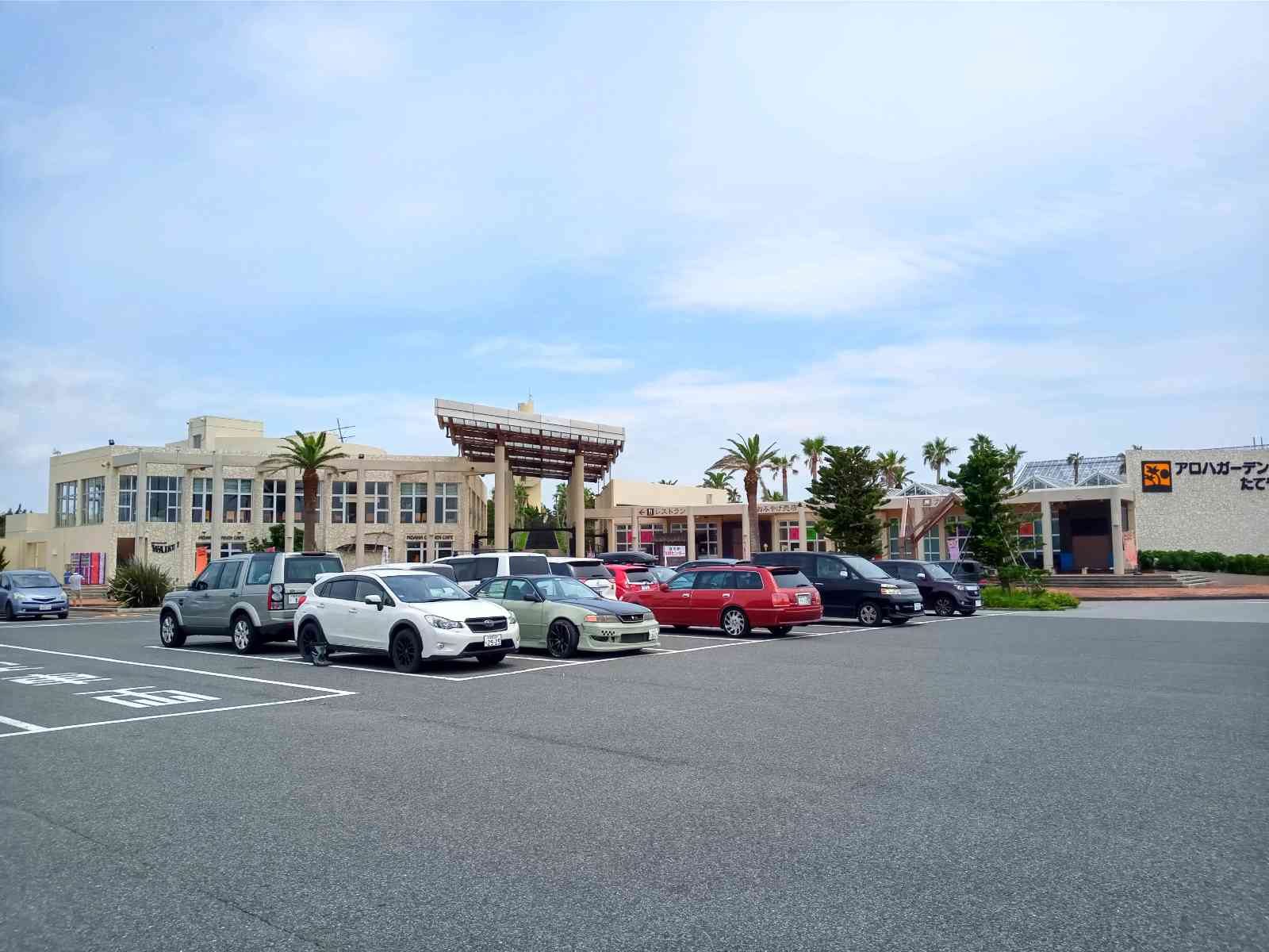 投稿された画像