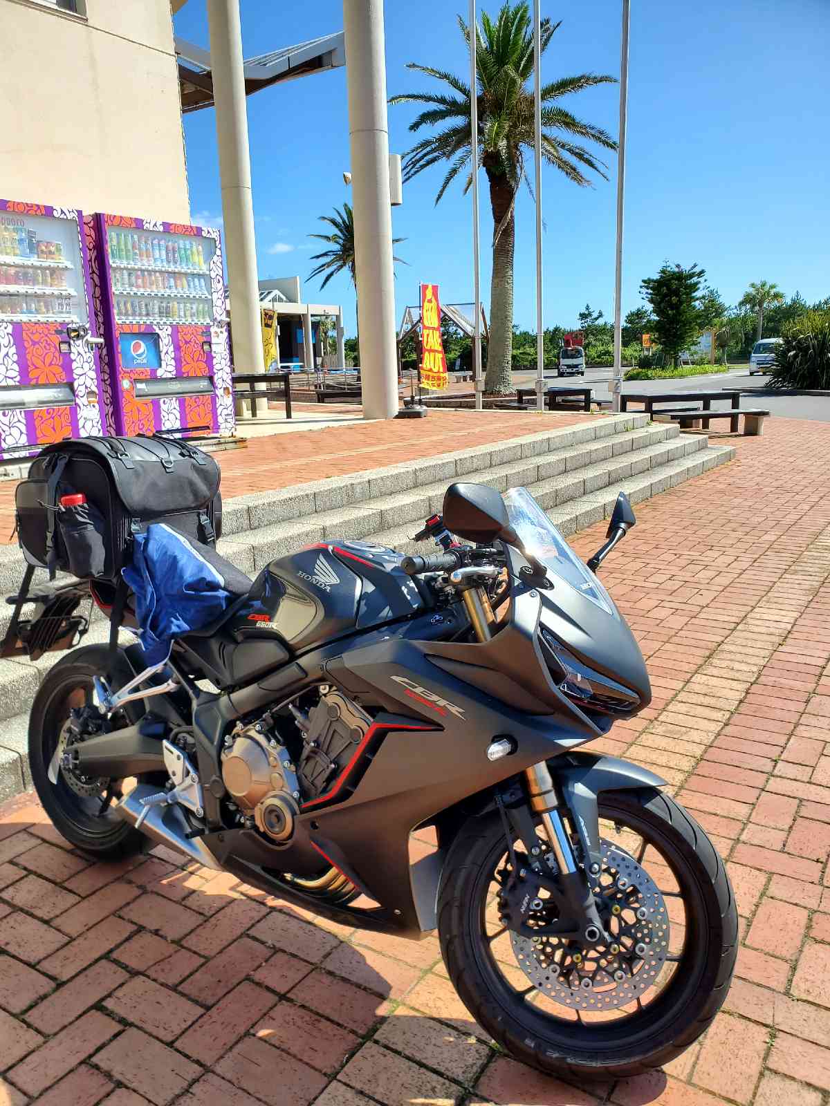 投稿された画像