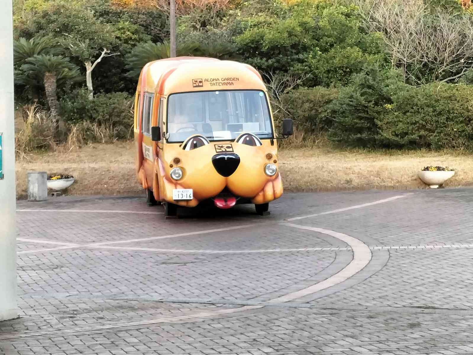 投稿された画像