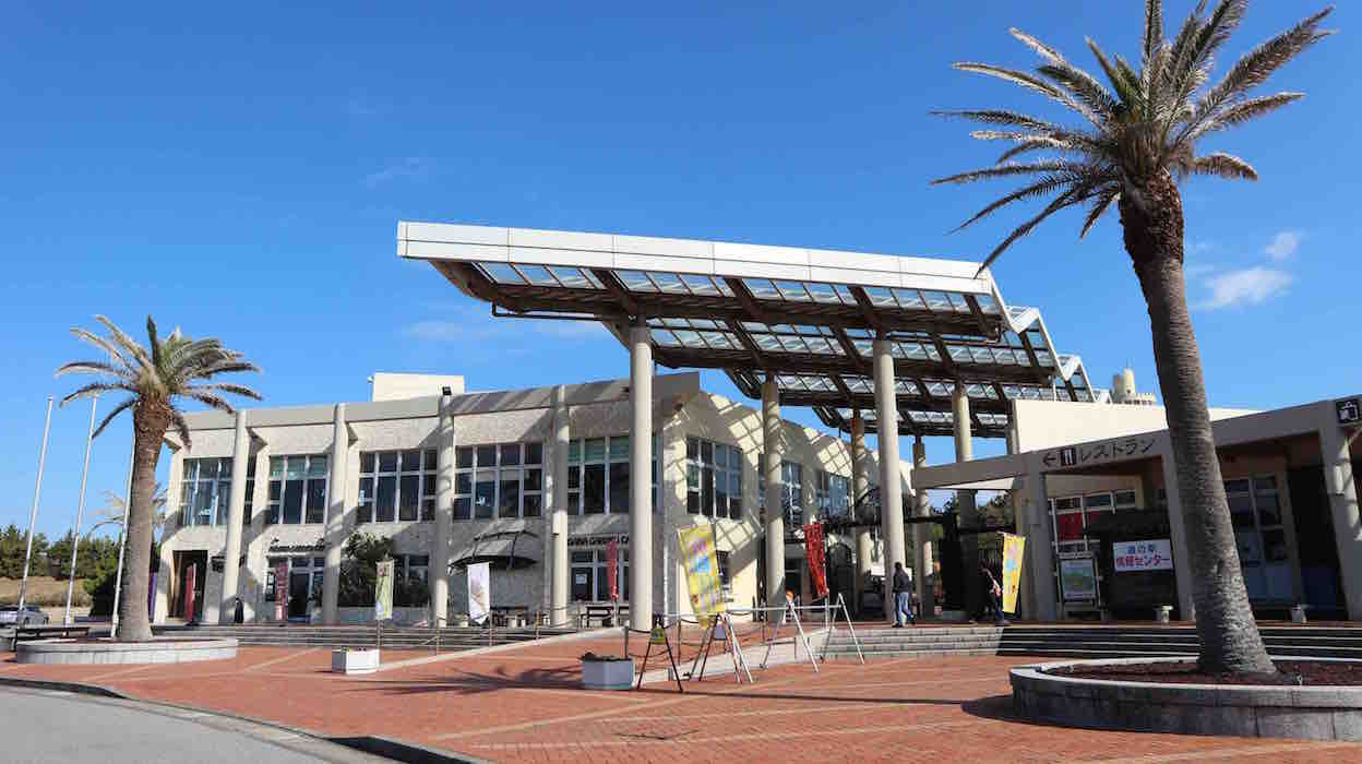 投稿された画像