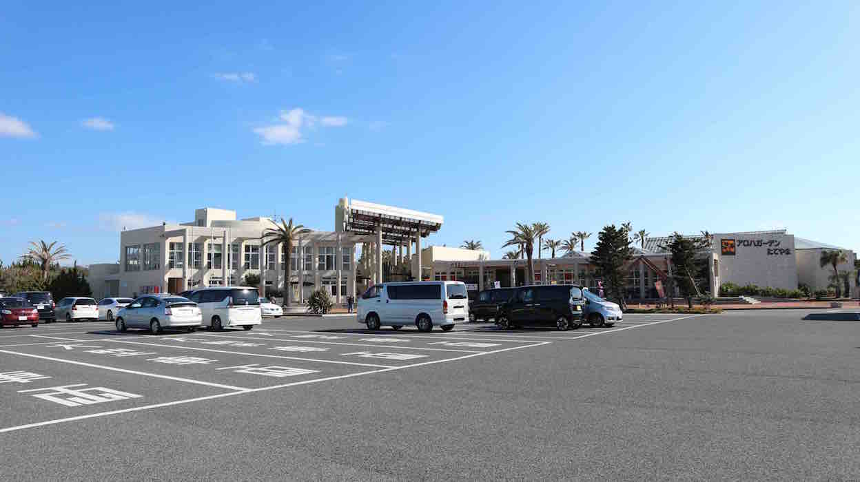 投稿された画像