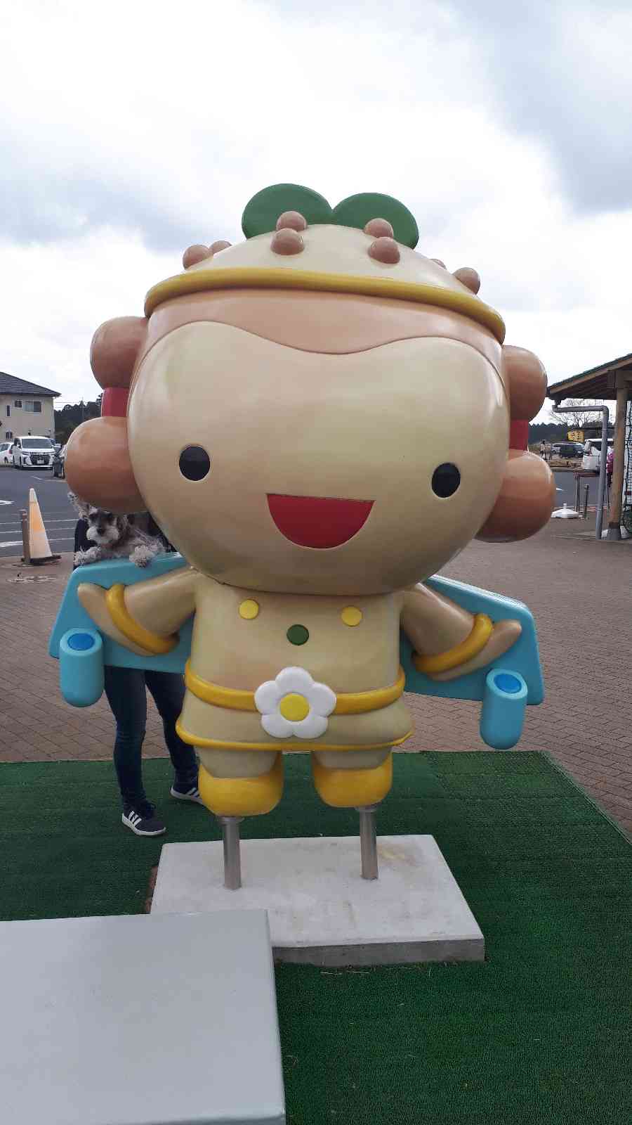 投稿された画像