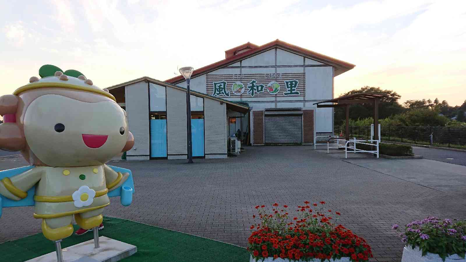 投稿された画像