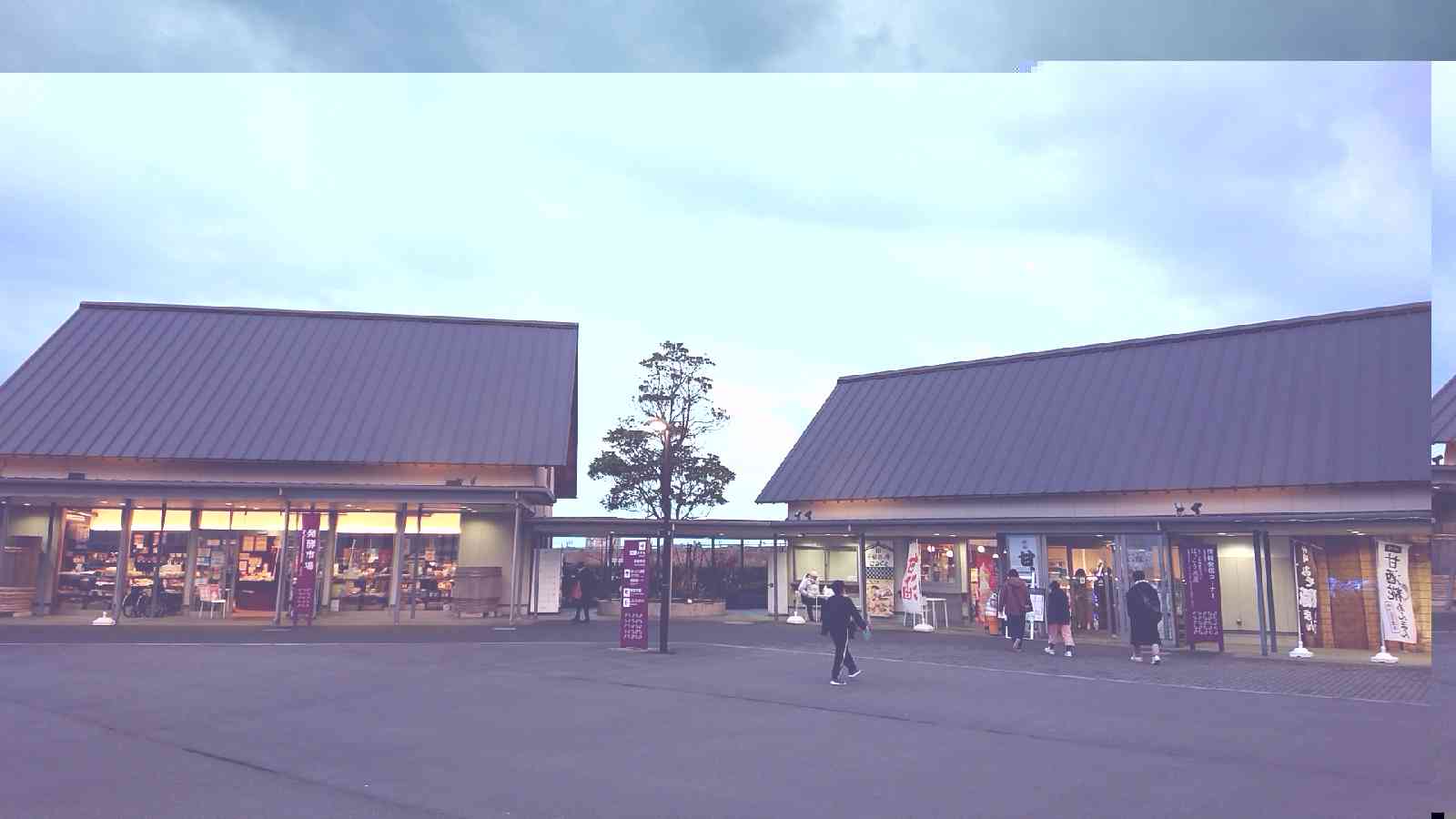 投稿された画像