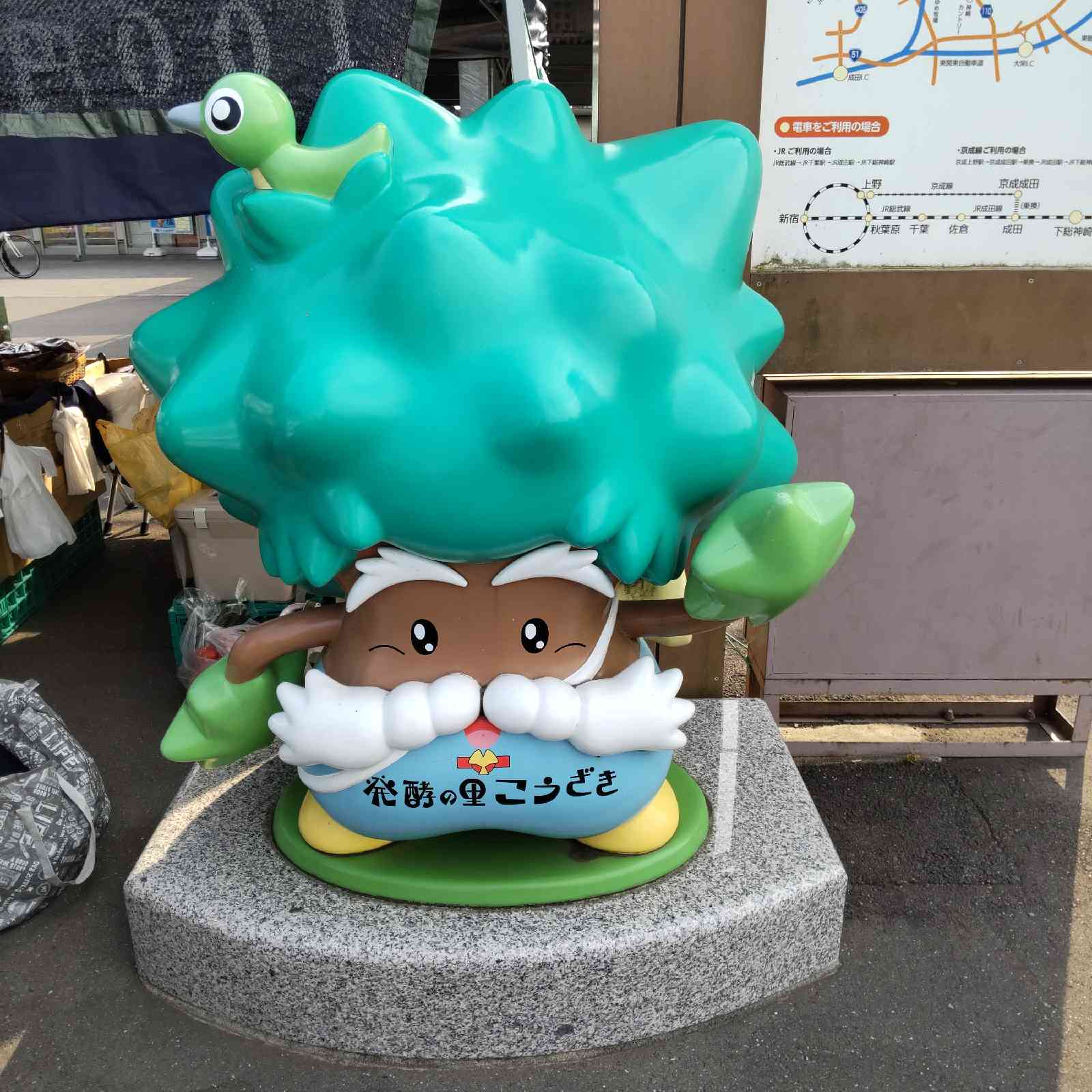 投稿された画像