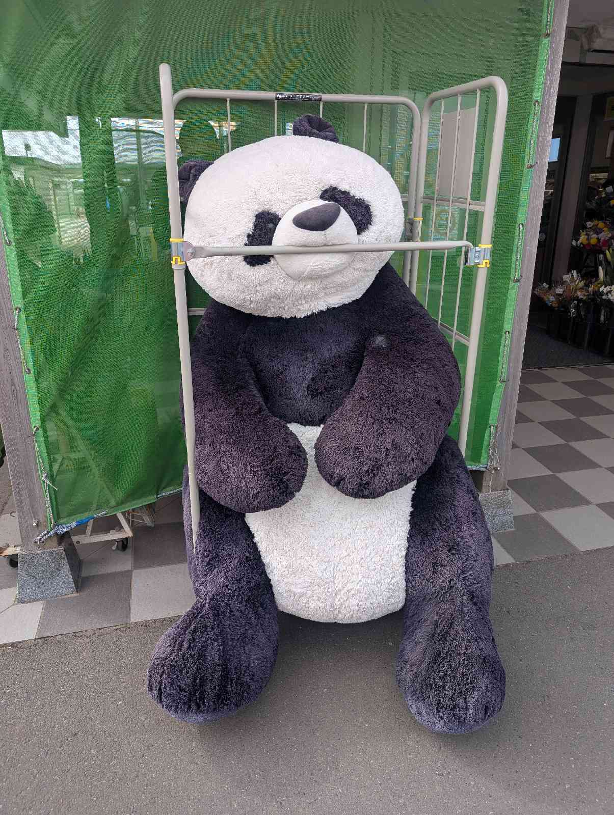 道の駅 発酵の里こうざきの写真