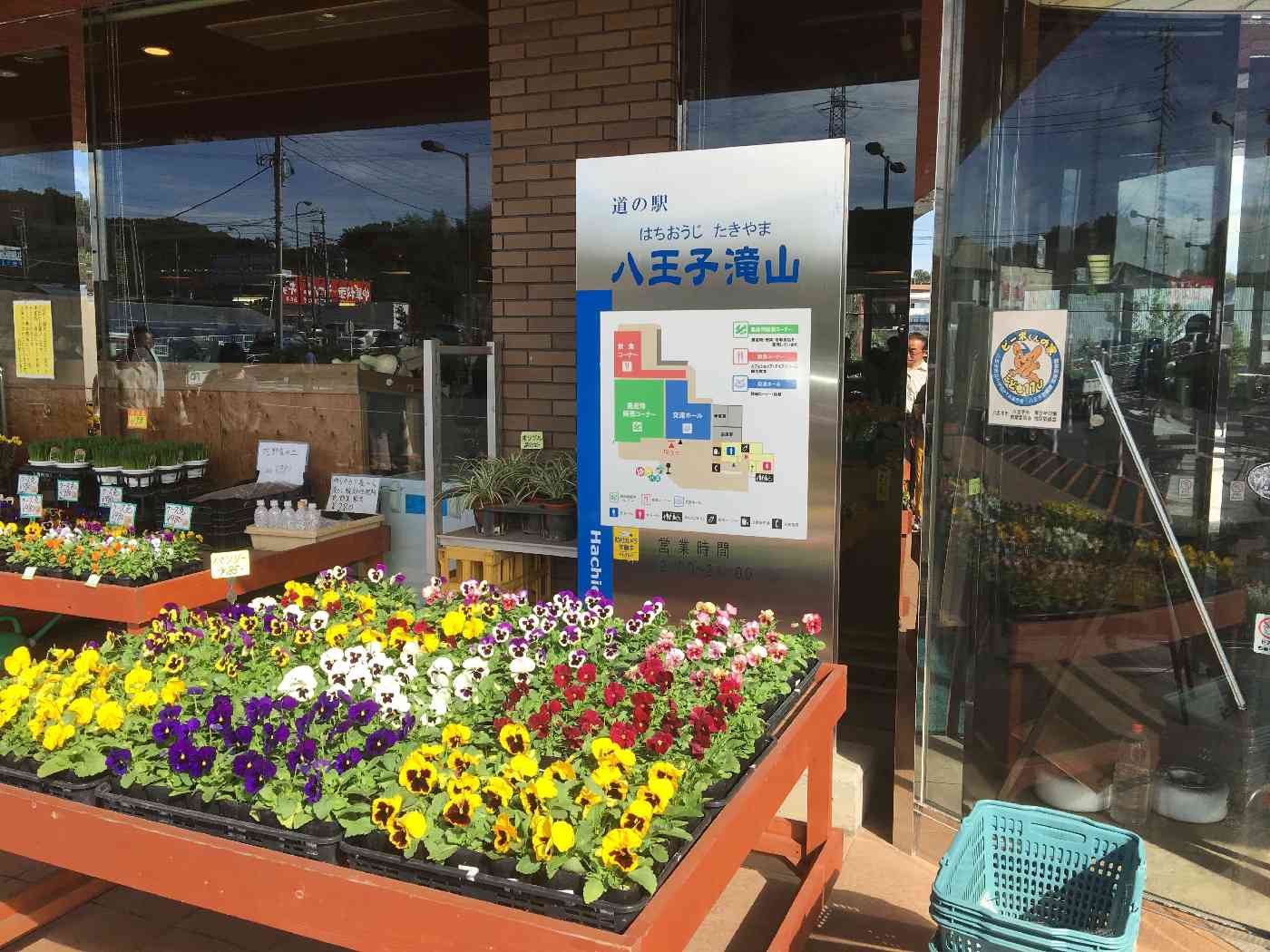 投稿された画像