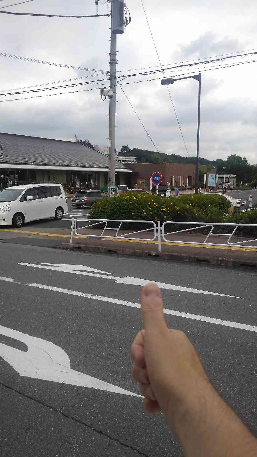 投稿された画像