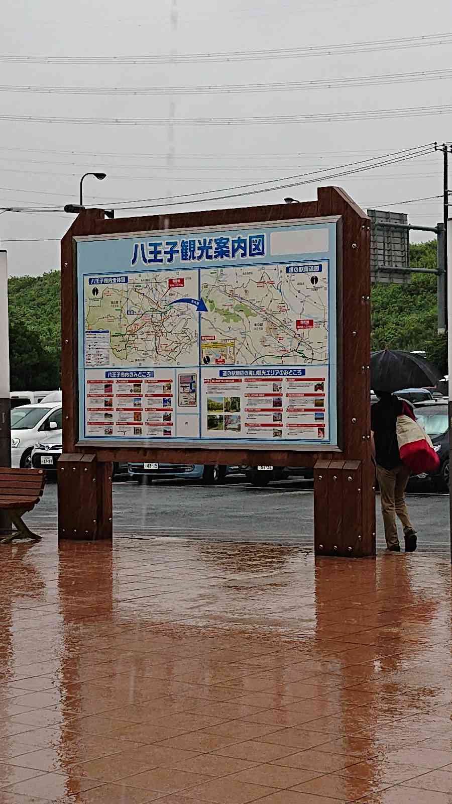 投稿された画像