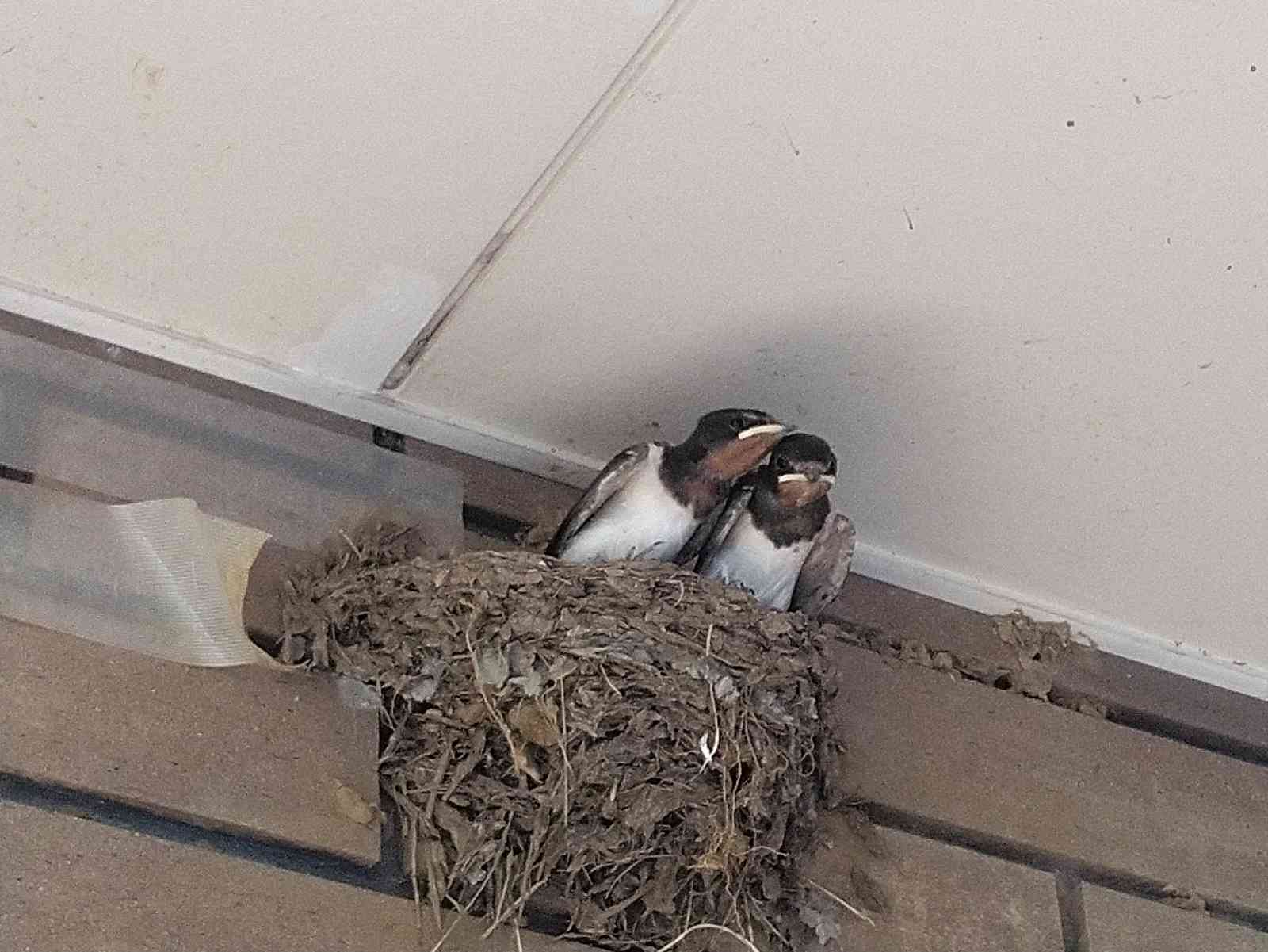 投稿された画像