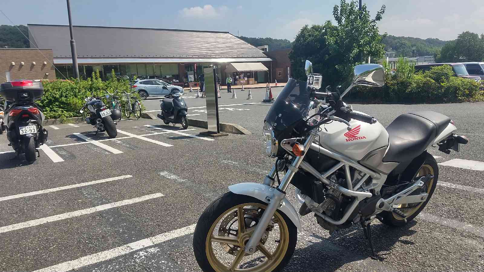 投稿された画像