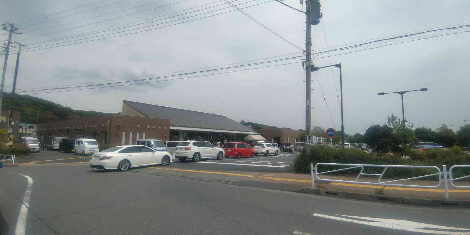 投稿された画像