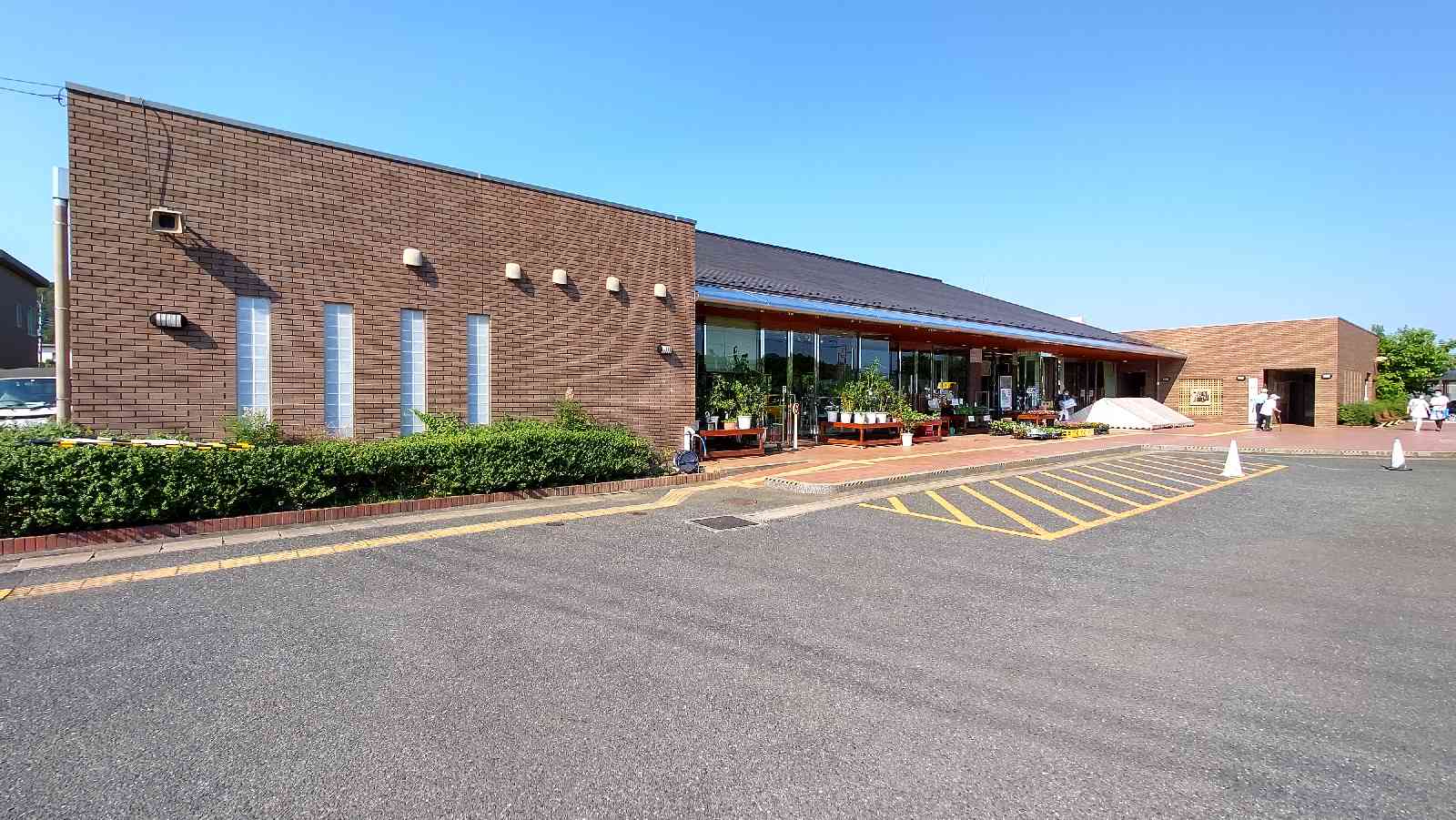 投稿された画像