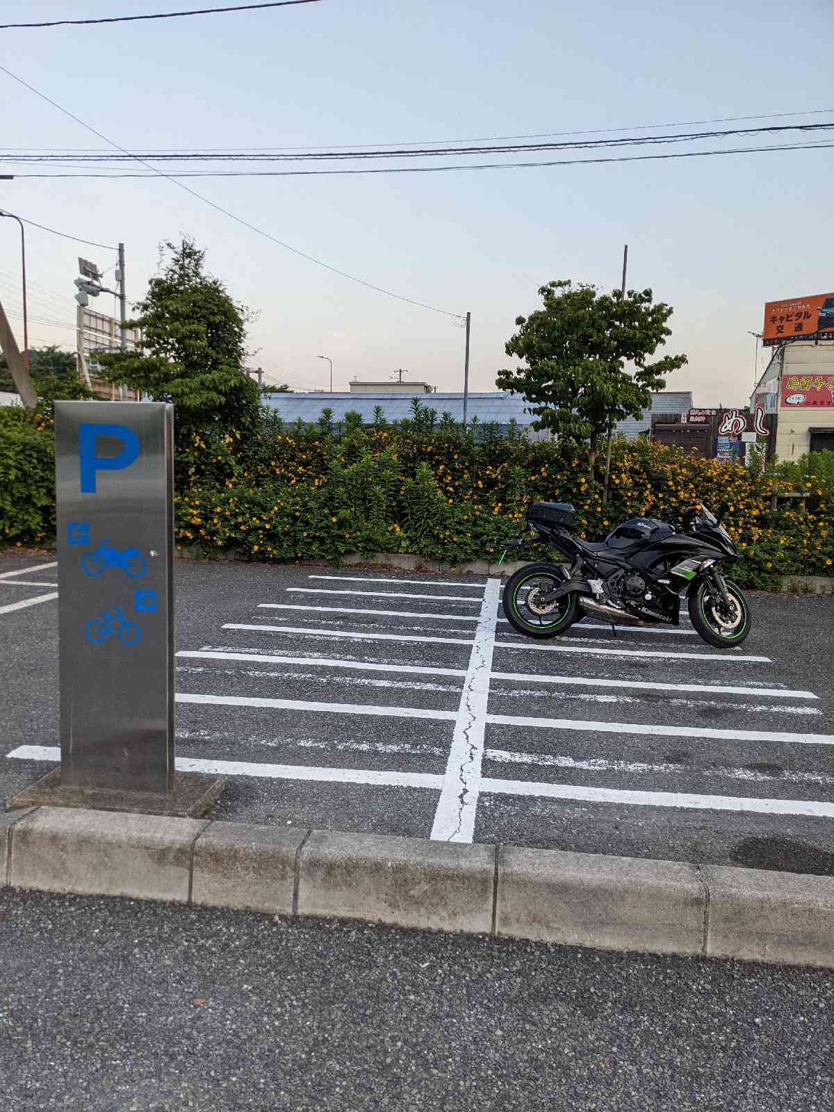 投稿された画像