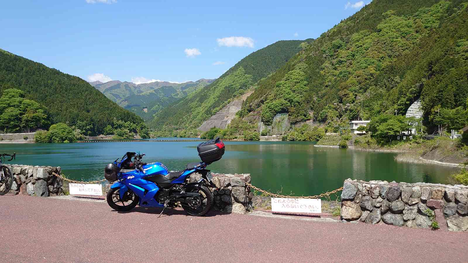 投稿された画像