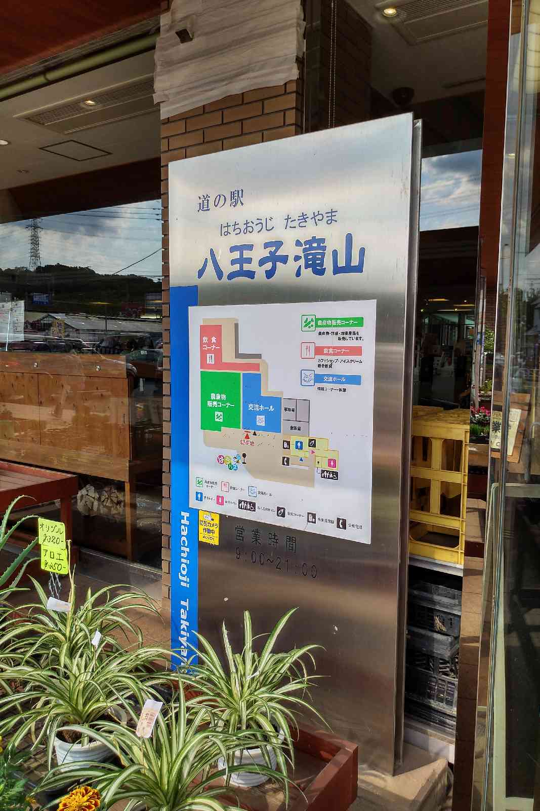 投稿された画像