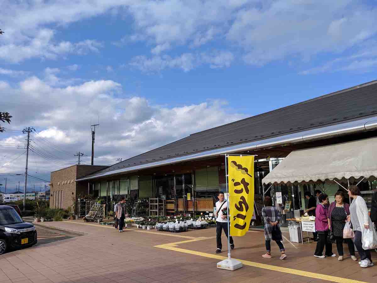 投稿された画像