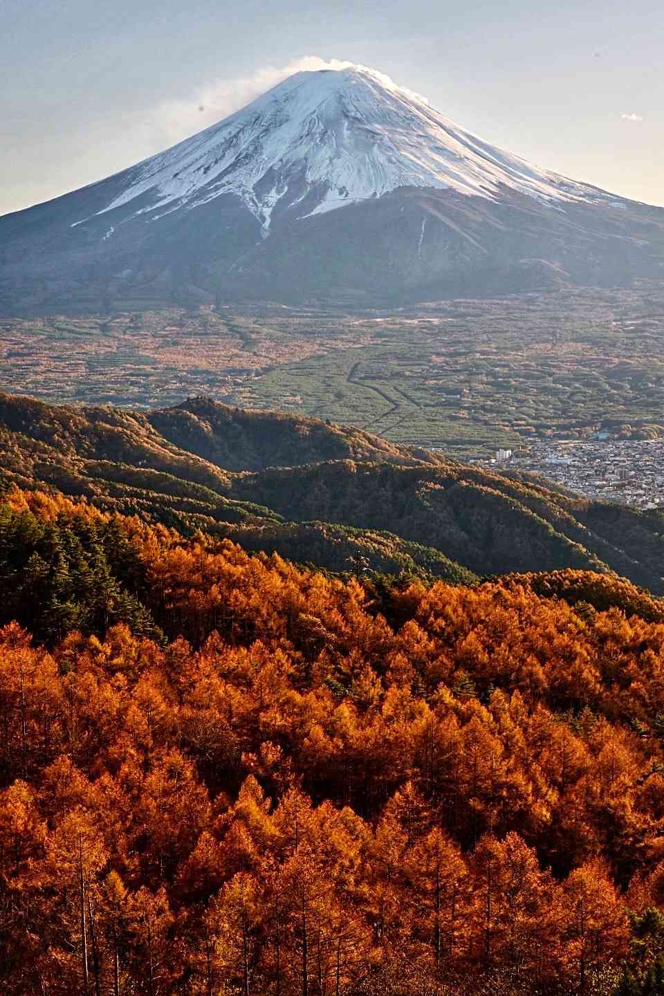 道の駅 箱根峠の写真