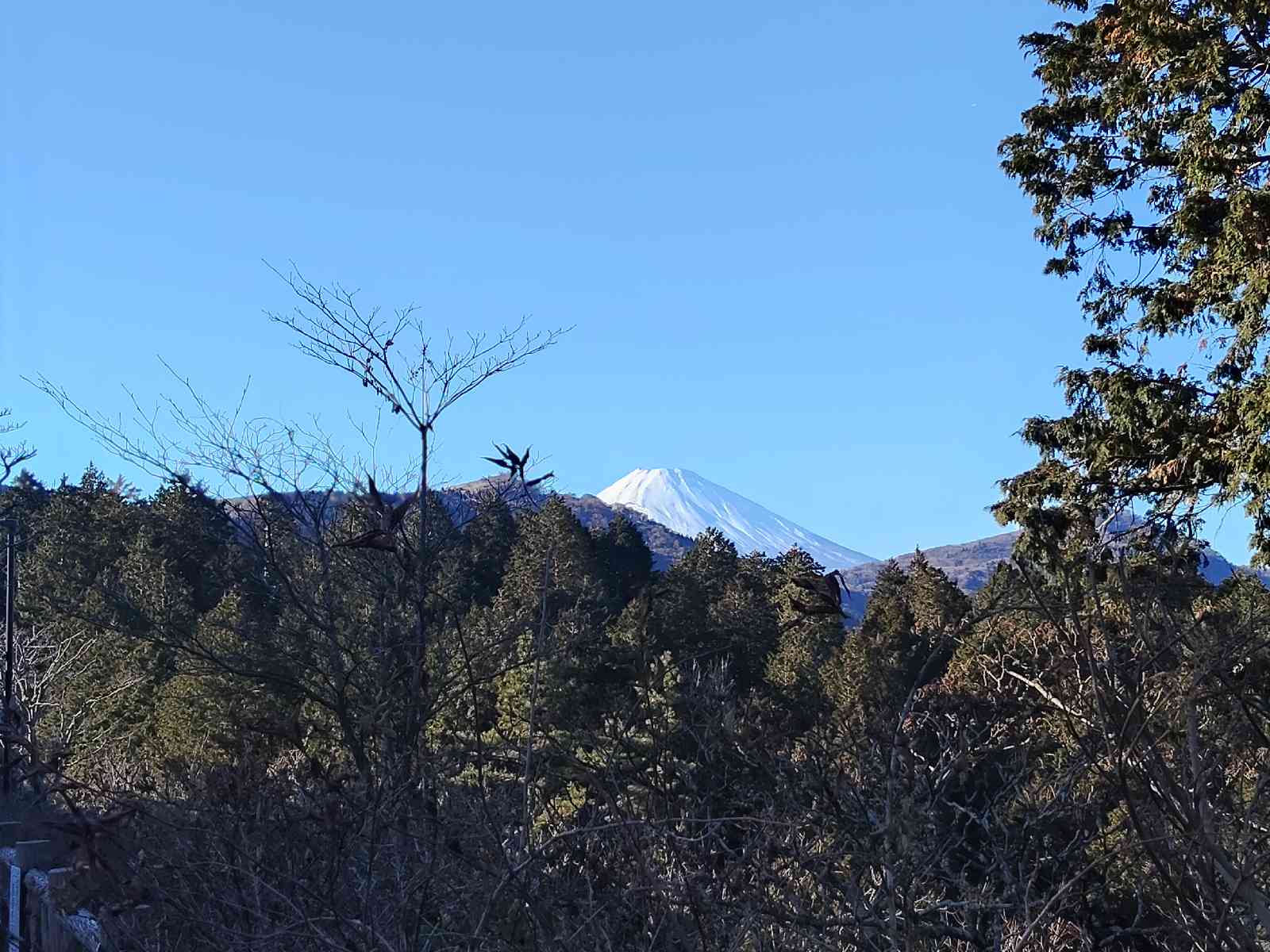 道の駅 箱根峠の写真