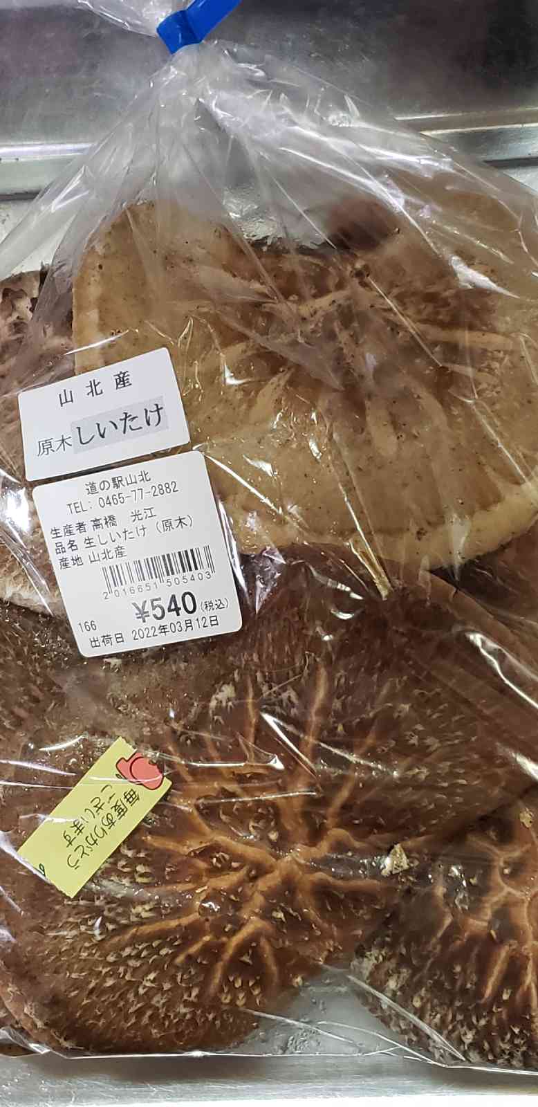 投稿された画像