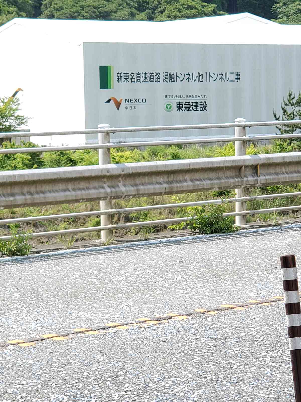 投稿された画像