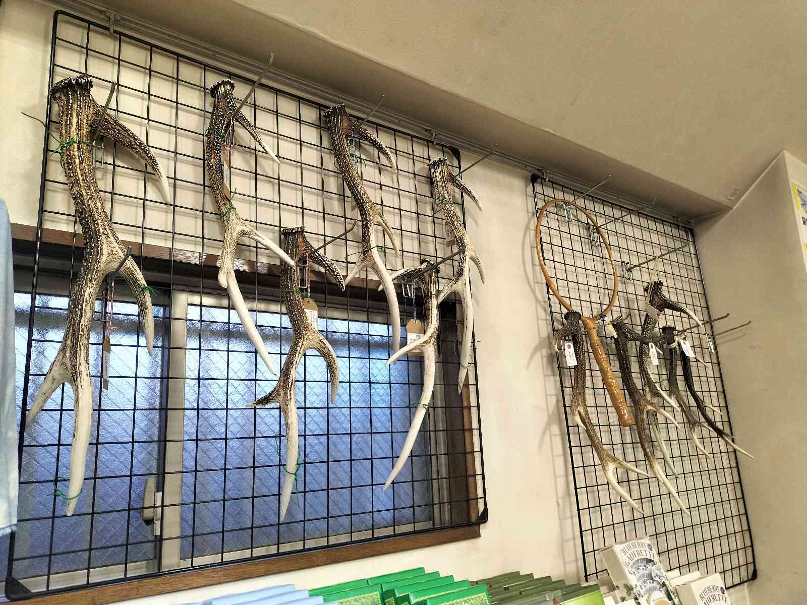 投稿された画像