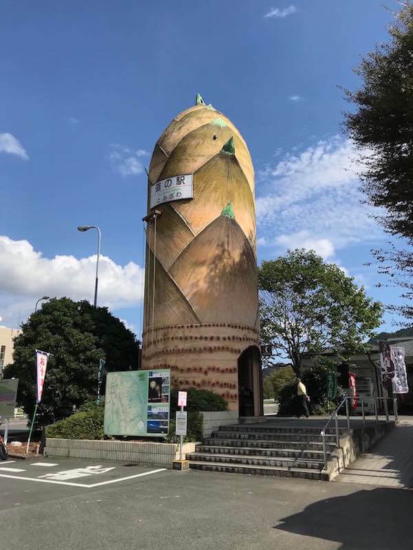 投稿された画像