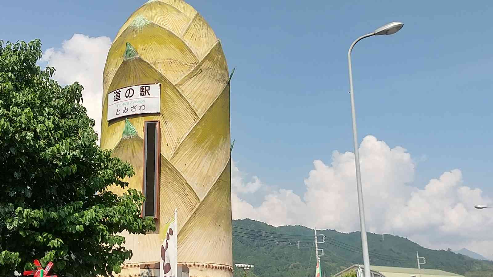 投稿された画像