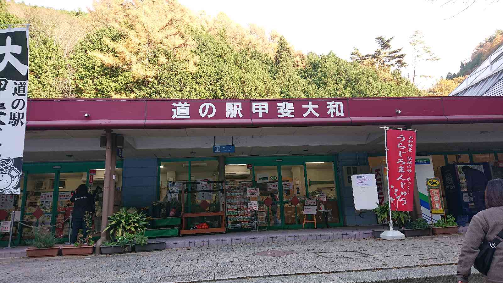 投稿された画像