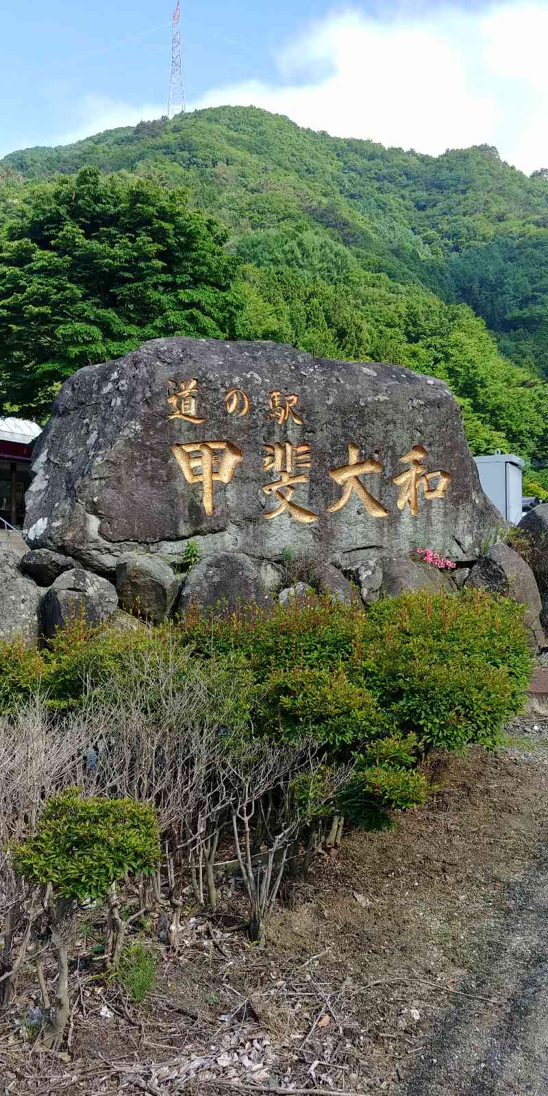 投稿された画像